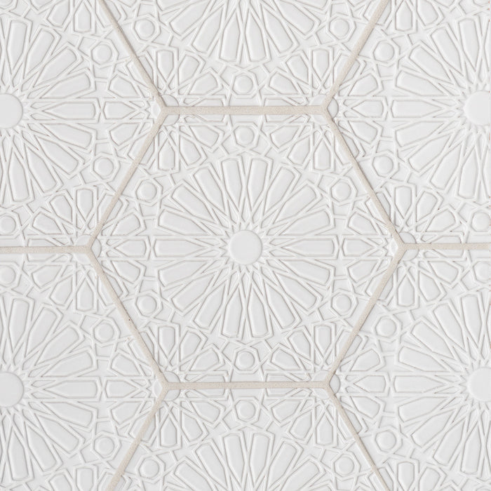 Walker Zanger - Andalucia - 9 in. x 10 in. Fez Matte Decorative Hex Tile - Blanco
