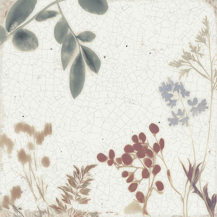 Harmony - Mayolica Collection - 6 in. x 6 in. - Porcelain Tile - Forest