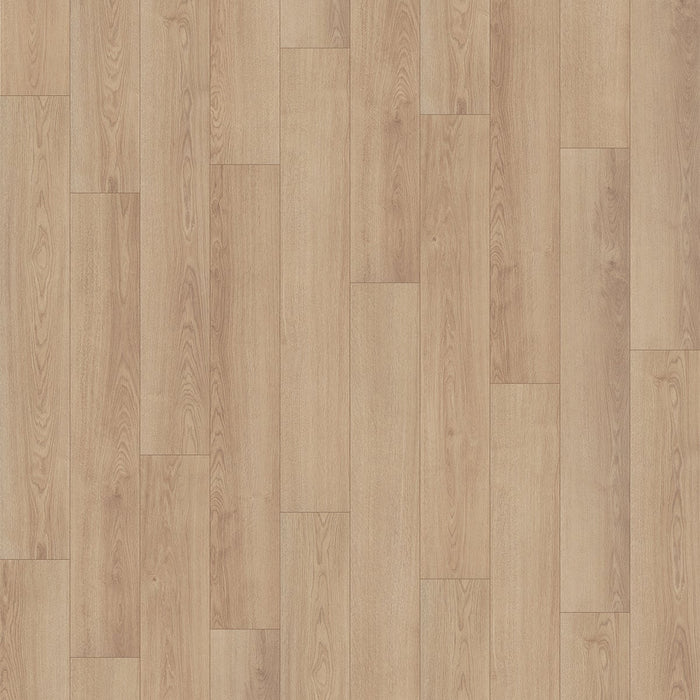 Inhaus - Solido Visions Collection With Pad - Hobart Variation