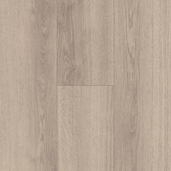 Inhaus - Solido Visions Collection With Pad - Adelaide