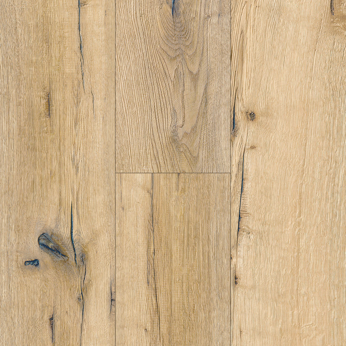 Inhaus - Solido Visions Collection With Pad - Buckthorn