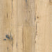 Inhaus - Solido Visions Collection With Pad - Buckthorn