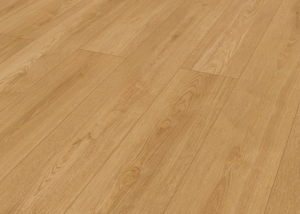 Inhaus - Solido Visions Collection With Pad - Wheatley Angled