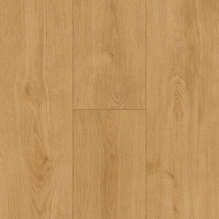 Inhaus - Solido Visions Collection With Pad - Wheatley