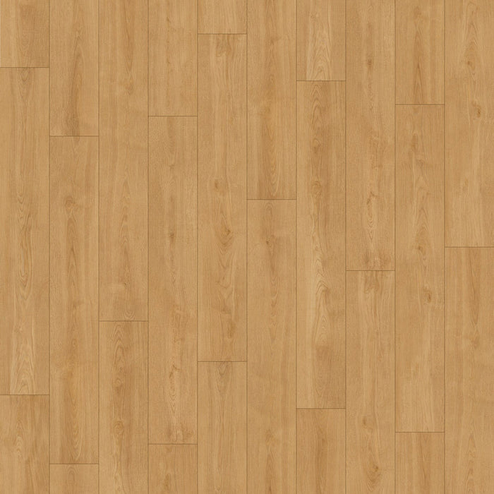 Inhaus - Solido Visions Collection With Pad - Wheatley Variation