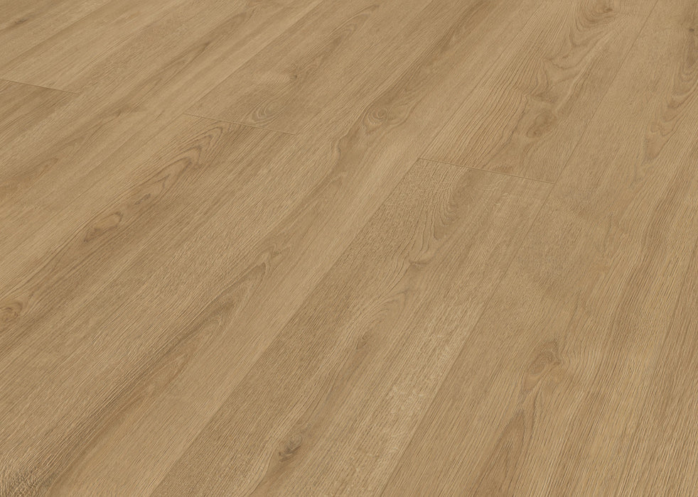 Inhaus - Solido Visions Collection With Pad - Clarke Angled
