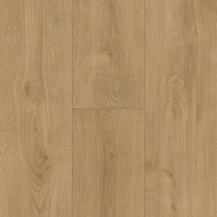 Inhaus - Solido Visions Collection With Pad - Clarke