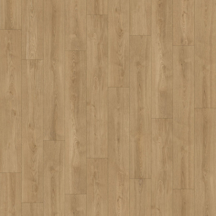 Inhaus - Solido Visions Collection With Pad - Clarke Variation