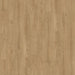 Inhaus - Solido Visions Collection With Pad - Clarke Variation