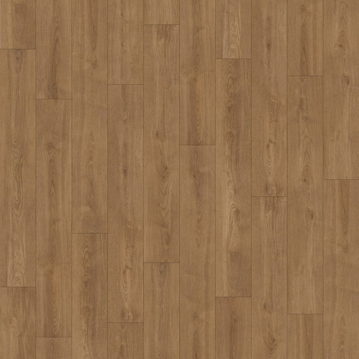 Inhaus - Solido Visions Collection With Pad - Gunstock Oak Variation