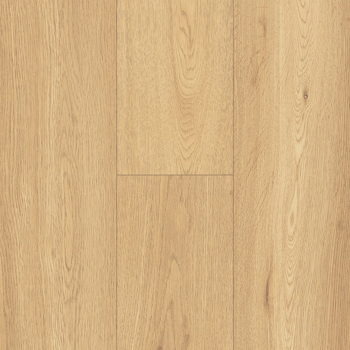 Inhaus - Ecolam Laminate Flooring - Noosa