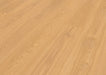 Inhaus - Ecolam Laminate Flooring - Saguaro Angled