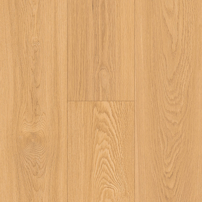 Inhaus - Ecolam Laminate Flooring - Saguaro