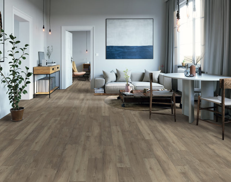 Happy Feet - All Star II LVP - European Oak HF256 Room Scene