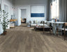 Happy Feet - All Star II LVP - European Oak HF256 Room Scene