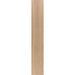Elysium - Faedo 10 in. x 60 in. Porcelain Tile - Miel