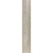 Elysium - Faedo 10 in. x 60 in. Porcelain Tile - Ceniza