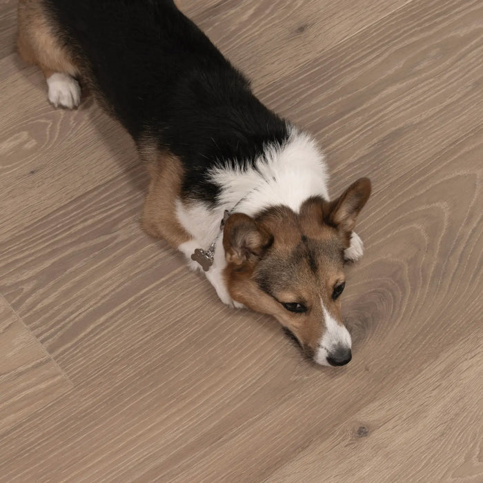 CALI Floors - First Press Engineered Hardwood - Shipboard Sauv 3