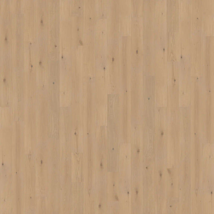 CALI Floors - First Press Engineered Hardwood - Linden Blossom 6