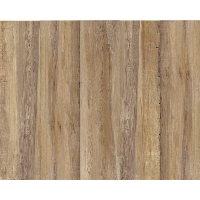 アカイアカソ Arizona Tile - Aequa Series - 8