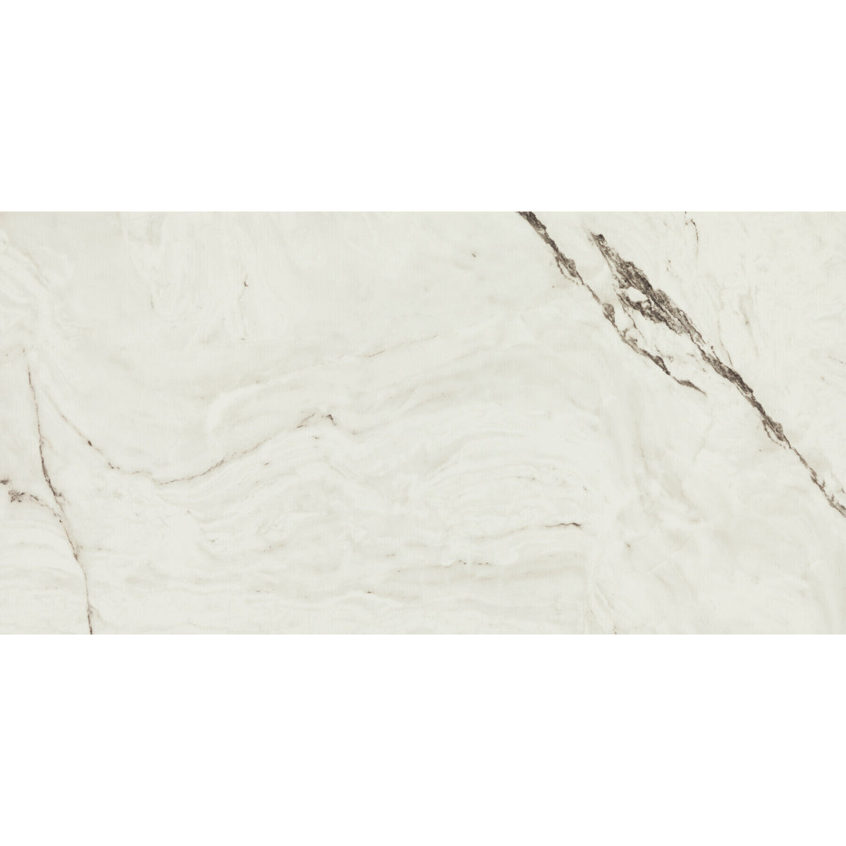 American Olean - Foyer 12 in. x 24 in. Colorbody Porcelain Tile - Polished Summit