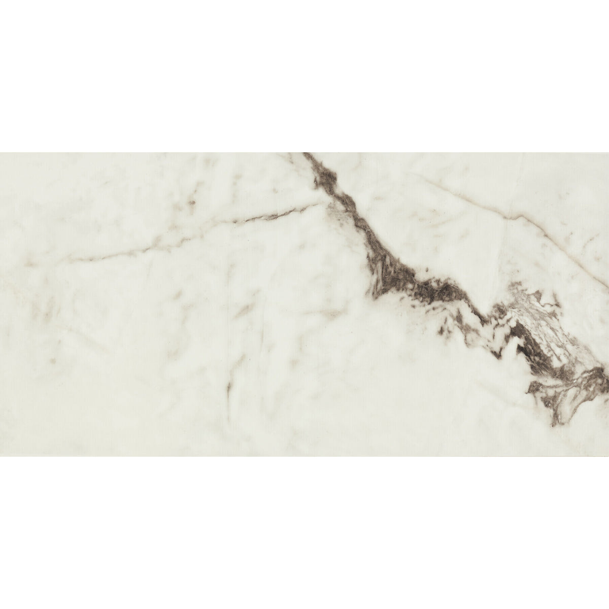 American Olean - Foyer 12 in. x 24 in. Colorbody Porcelain Tile - Polished Summit