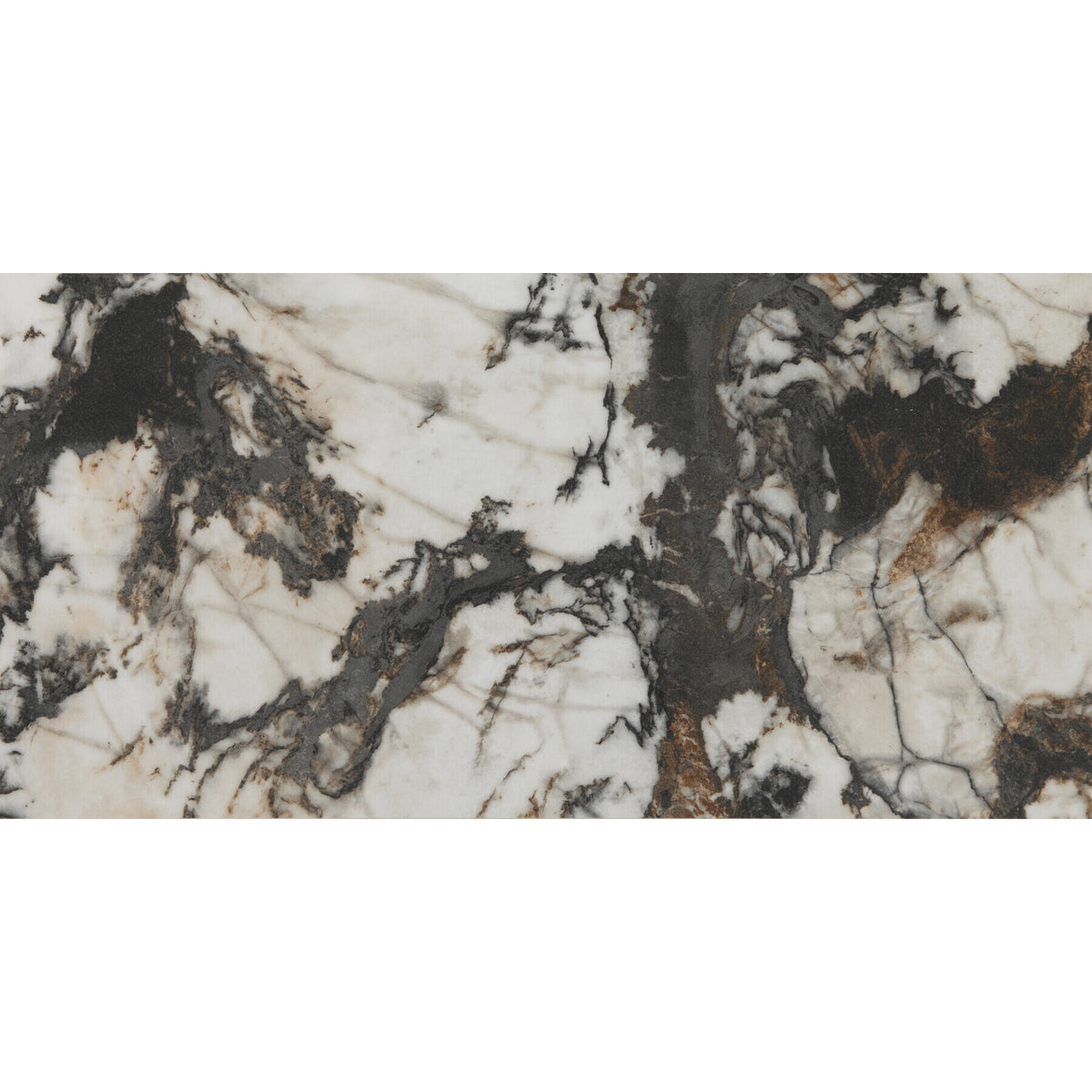 American Olean - Foyer 12 in. x 24 in. Colorbody Porcelain Tile - Polished Contrast