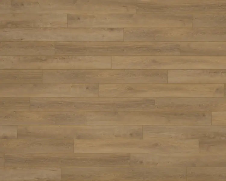 Mannington - Adura Apex - Mokuzai 8 in. x 72 in. WPC Luxury Vinyl - Sapling Plank Variation