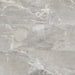 Floors 2000 - Absolute 12 in. x 24 in. Matte Porcelain Tile - Light Grey
