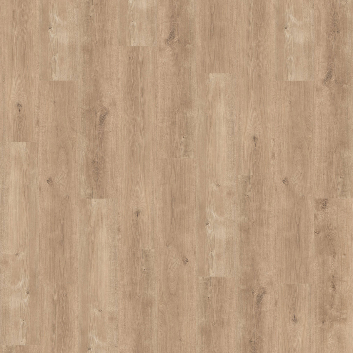 ジャーナルスタンダードラックス【ヘリンレオ JOURNAL STANDARD LUXE（ジャーナルスタンダード ラックス）の「ヘリン