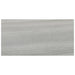 Anatolia - Davenport 16 in. x 32 in. Glazed Porcelain Tile - Earth