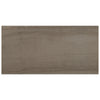 See Anatolia - Amelia 18 in. x 36 in. Glazed Porcelain Tile - Earth