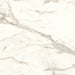 Arizona Tile - Marvel 24" x 24" Polished Rectified Porcelain Tile - Calacatta Prestigio