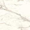 See Arizona Tile - Marvel 24