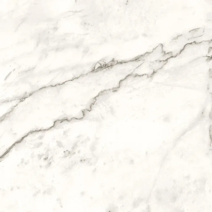 Arizona Tile - Marvel 24" x 24" Matte Rectified Porcelain Tile - Statuario Supremo