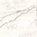 Arizona Tile - Marvel 24" x 24" Matte Rectified Porcelain Tile - Statuario Supremo