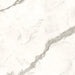 Arizona Tile - Marvel 24" x 24" Polished Rectified Porcelain Tile - Statuario Supremo