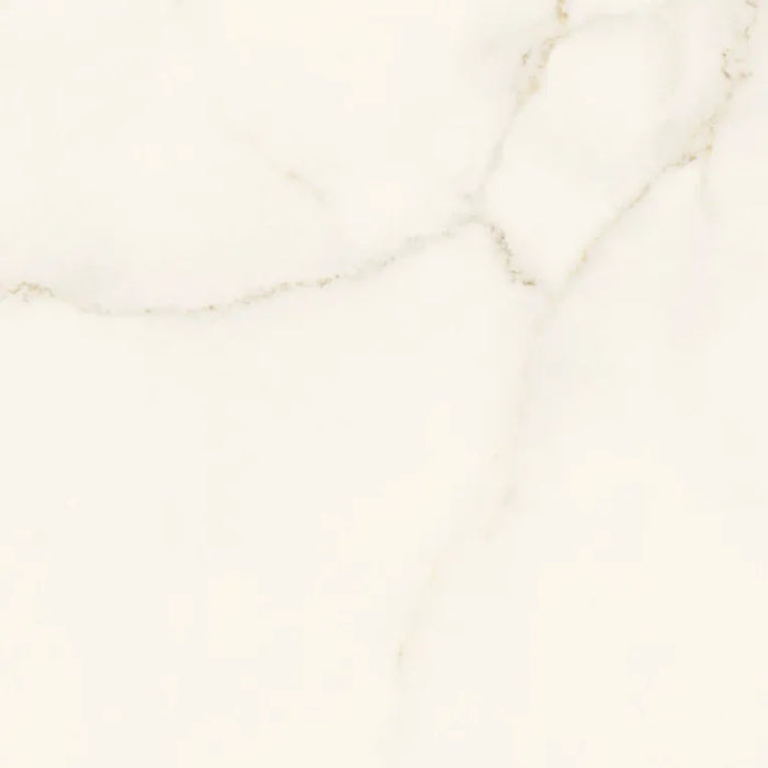 Arizona Tile - Marvel 24" x 24" Matte Rectified Porcelain Tile - Calacatta Apuano