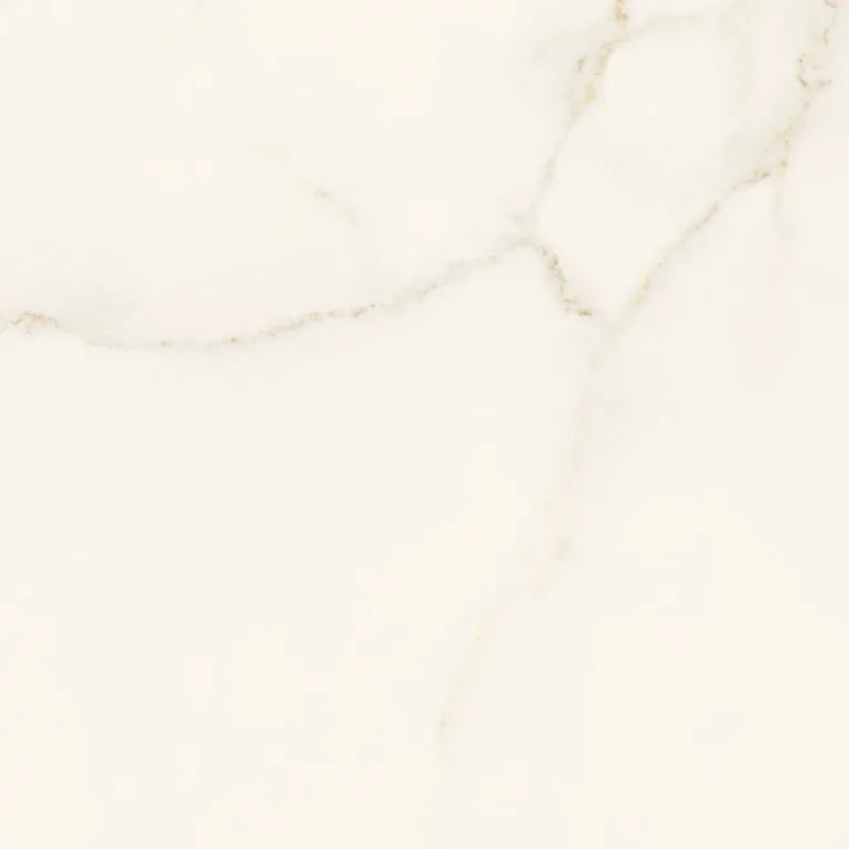 Arizona Tile - Marvel 24&quot; x 24&quot; Polished Rectified Porcelain Tile - Calacatta Apuano