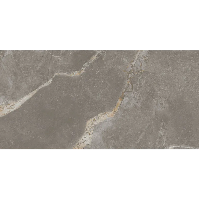 Arizona Tile - Marvel 12" x 24" Polished Rectified Porcelain Tile - Fior Di Bosco