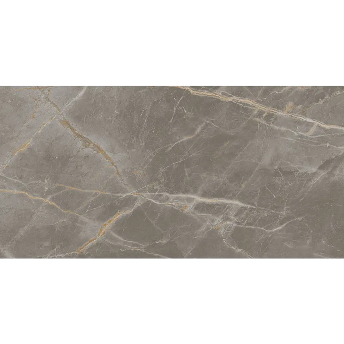 Arizona Tile - Marvel 24" x 48" Matte Rectified Porcelain Tile - Fior Di Bosco