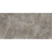 Arizona Tile - Marvel 24" x 48" Polished Rectified Porcelain Tile - Fior Di Bosco