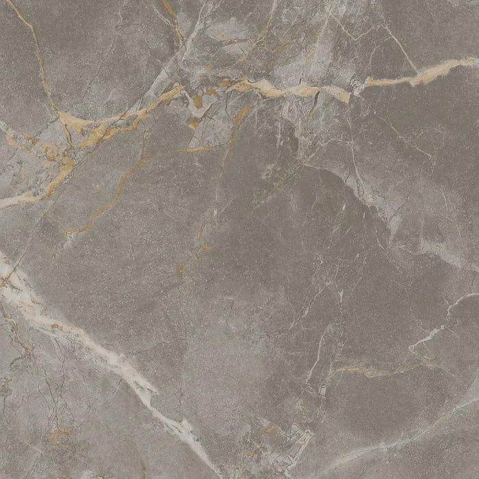 Arizona Tile - Marvel 24" x 24" Polished Rectified Porcelain Tile - Fior Di Bosco