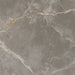 Arizona Tile - Marvel 24" x 24" Polished Rectified Porcelain Tile - Fior Di Bosco