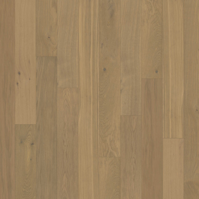 Earthwerks - Backlands WB Engineered Hardwood - Hondo