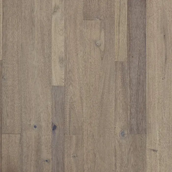 Mannington - Bengal Bay Collection - Random Widths Engineered Hardwood - Salt