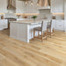 Choice Flooring - Bar Harbor Vinyl Series - Maple Coast