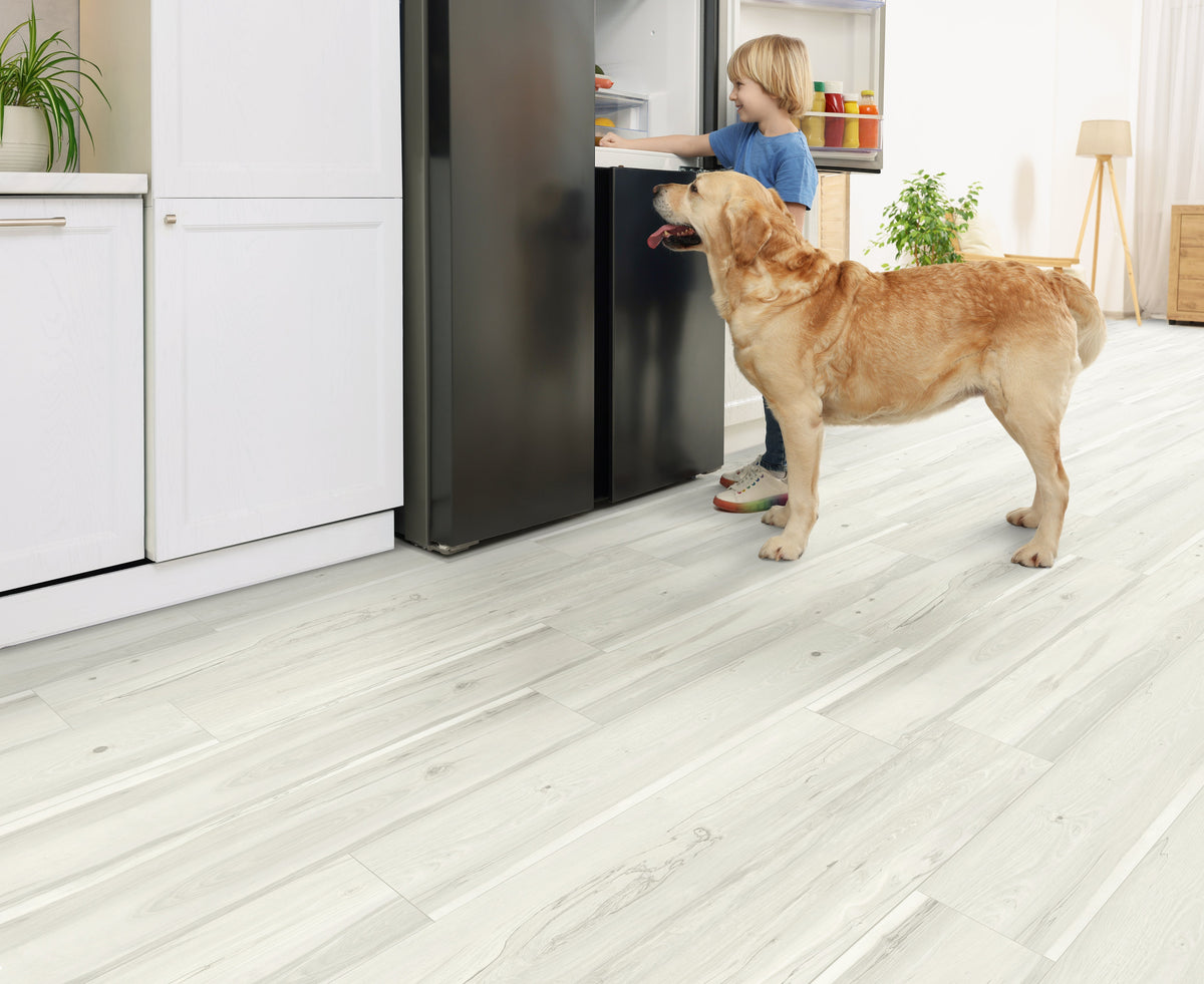 Floors 2000 - Beach House Collection 8 in. x 48 in. Laminate Plank - White Wash floor installation