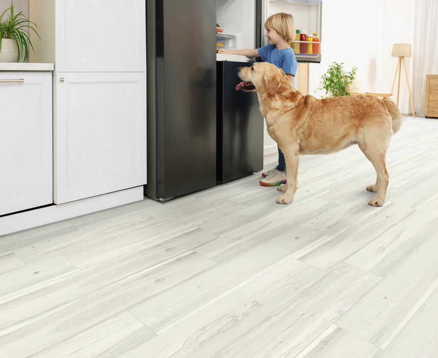 Floors 2000 - Beach House Collection 8 in. x 48 in. Laminate Plank - White Wash floor installation