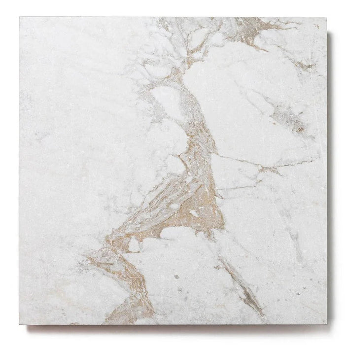 Bedrosians  - Antica Roma 12 in. x 12 in. Matte Porcelain Tile - Bianco